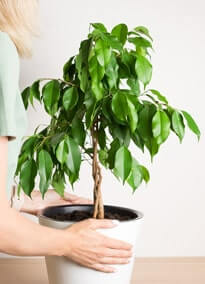 Card image about Comprehensive Maintenance 2