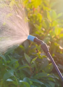 Card image about Integrated Care 2