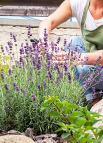 Card image about Client Care 2