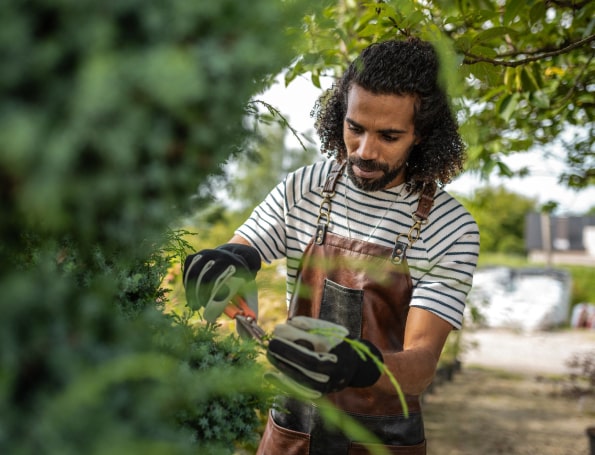 Indoor landscape creation and maintenance